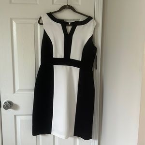 Tahari Color Block Dress